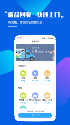 靈貓