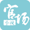 官場(chǎng)小說