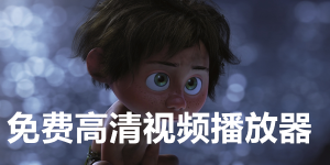 大片免費觀看全部視頻播放器