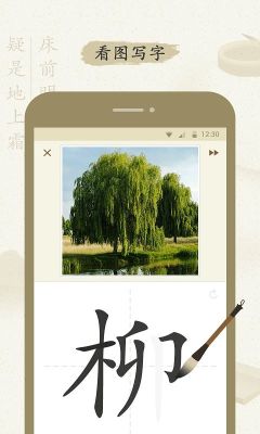 最最漢字(zzHanzi)