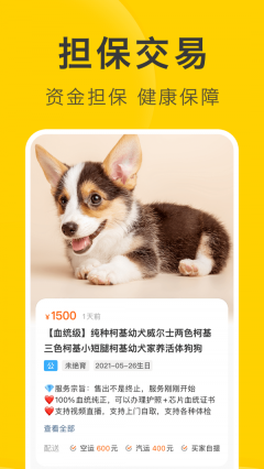 買只寵物