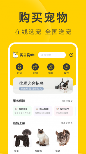 買只寵物