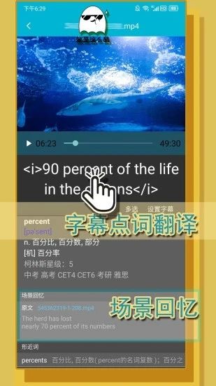單詞播放器