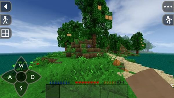 生存戰(zhàn)爭2雙人同屏(Survivalcraft 2)