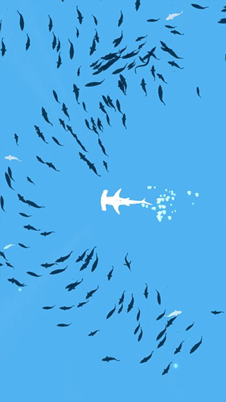 深海魚群(Shoal of fish)
