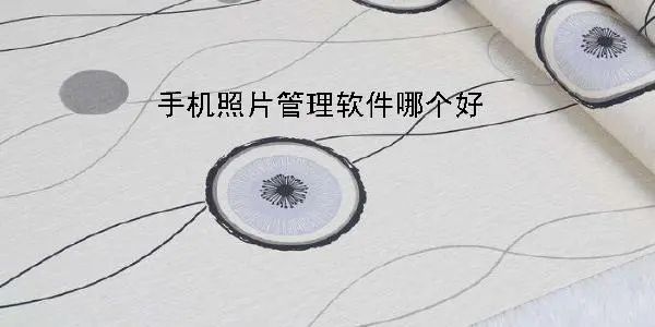 相冊(cè)管理軟件排行榜前十名