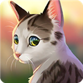貓咪救援故事(Cat Rescue Story)