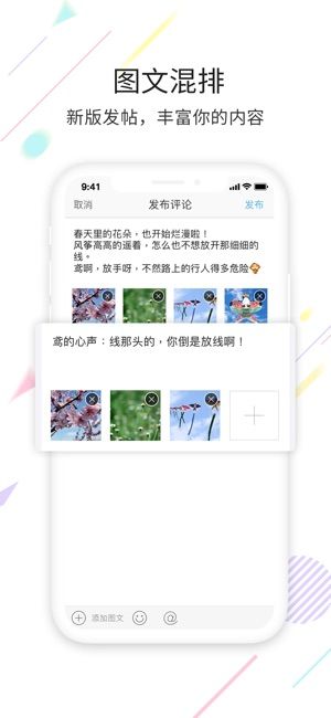 寧海在線