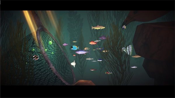 一只魚