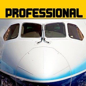 模擬飛行747(模擬飛行787)