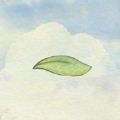 風子(Miss Wind)