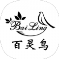 百靈鳥防閃框架