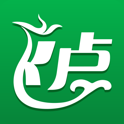 飛盧小說