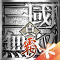 真三國無雙霸