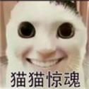 貓鼠特工貓貓驚魂