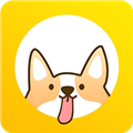 每日計(jì)劃