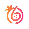 石榴惠選
