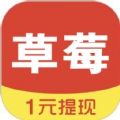 草莓看點