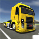 公路司機(The Road Driver)