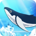 我的小水族館(My Little Aquarium)
