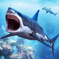 白鯊攻擊任務3D(White Shark Attack Mission 3D)