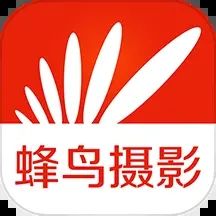 蜂鳥攝影