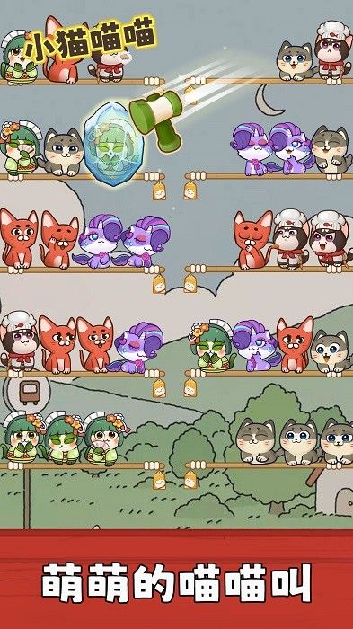 小貓喵喵