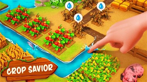 家庭農(nóng)場探險(Family Farm Adventure)