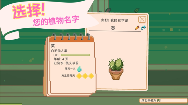 窗口花園(Window Garden)