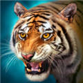 老虎模擬器(The Tiger)