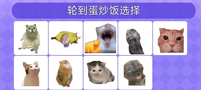 女巫的毒藥貓Meme版
