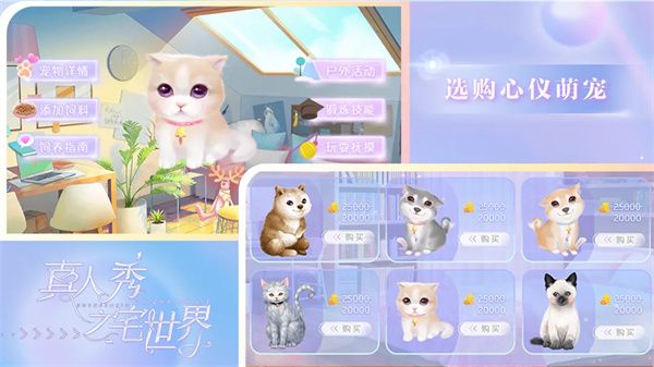 真人秀之宅