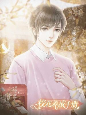 ?；B成手冊