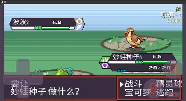 寶可夢肉鴿