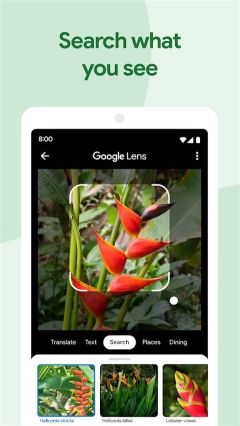 谷歌相冊app