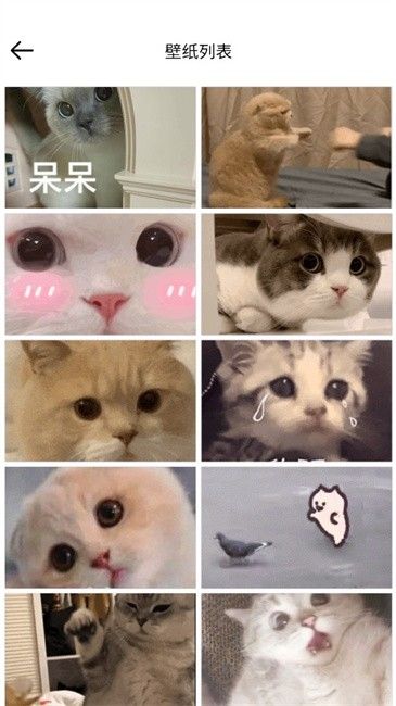 壁紙集