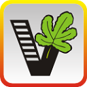我要自學(xué)網(wǎng)app